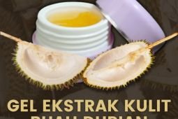 Mahasiswa UB Malang olah kulit durian jadi krim antijerawat