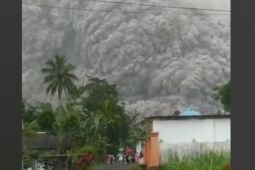 BNPB: Satu kecamatan di Lumajang terdampak letusan Gunung Semeru