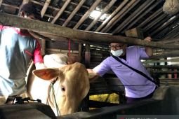 Puluhan dokter hewan PDHI Jatim layani pemeriksaan ternak korban APG Semeru