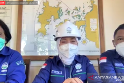 BMKG:  Gempa Larantuka disebabkan aktivitas sesar di Laut Flores