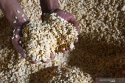 Dampak Kenaikan Kedelai Impor