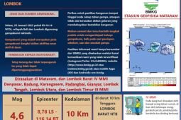Gempa 4,6 magnitudo  guncang Lombok