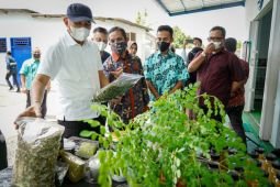 Menteri Kopetasi dan UKM dukung pengembangan produk industri daun kelor