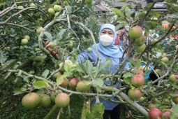 Khofifah komitmen  tingkatkan indeks kebahagiaan masyarakat Jatim