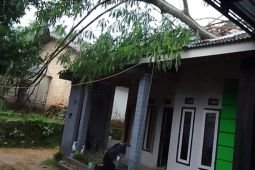 Hujan deras disertai angin kencang melanda Pamekasan