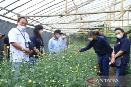 BRI bantu petani  bunga di Tomohon perkuat usaha