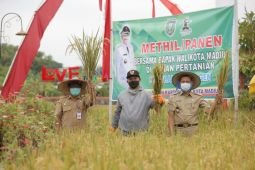 Pemkot Madiun alokasikan anggaran Rp1 miliar untuk bantuan pupuk petani