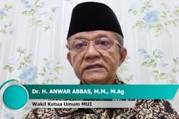 MUI dorong Indonesia  terlibat aktif wujudkan perdamaian dunia