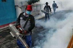 Dinkes Kota Madiun catat 51 kasus DB selama Januari-Maret 2022