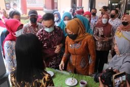 BKKBN luncurkan "Gebyar Pemakaian Pil KB Ibu Menyusui"
