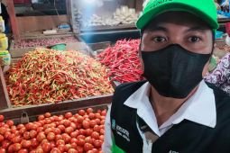 Harga cabai rawit di Jember terus meroket tembus Rp100 ribu/kg