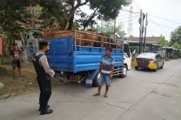 Cegah penyebaran PMK, Polres Mojokerto Kota batasi mobilitas hewan ternak