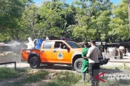 Tim gabungan lakukan disinfeksi pasar sapi di Pamekasan antisipasi PMK