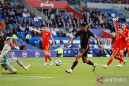 Liga Inggris: Cody Gakpo buruan terbaru "Setan Merah"