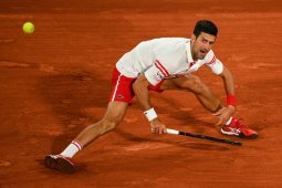 Karena alasan pribadi, Djokovic absen bela Serbia di Piala Davis