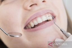 Riset: Nikotin bukan penyebab gangguan pertahanan gusi terhadap bakteri