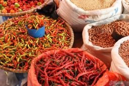Di Kota Malang, penurunan harga cabai rawit pengaruhi deflasi 0,03 persen