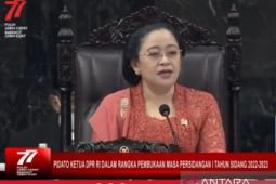 Puan Maharani minta pemerintah audit keamanan siber terkait kebocoran data