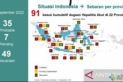 Kemenkes deteksi 91 hepatitis akut misterius