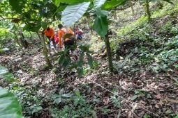 Potensi longsor Jember ancam akses infrastruktur menuju Banyuwangi