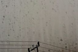 Minggu, Jatim berpotensi turun hujan disertai angin kencang