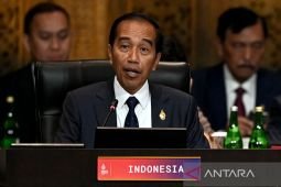 Pengamat China lihat Indonesia sebagai kekuatan global baru