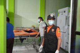 Seorang warga Jember meninggal dunia tertimpa pohon tumbang