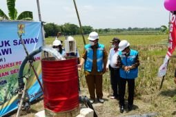 PLN catat pertumbuhan pelanggan "electrifying agriculture"