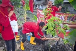 Rawat lingkungan, PDIP Surabaya aksi tanam pohon dan bersih sungai