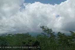 Gunung Semeru erupsi dengan ketinggian asap capai 1.000 meter