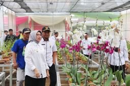 Wabup: Tanaman hias jadi kemandirian ekonomi di Desa Purworejo