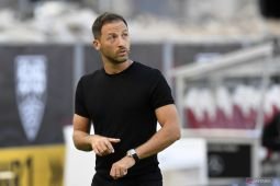 Tedesco ingin timnas Belgia gembira dan termotivasi
