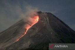 Merapi luncurkan 160 kali guguran lava selama sepekan