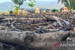 3.555 jiwa warga terdampak banjir di Parigi Moutong