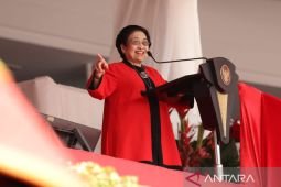 Mega ajak masyarakat tak pilih pemimpin karena tampilan fisik