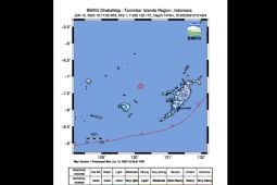 Gempa magnitudo 5,1 terjadi di wilayah barat laut Tanimbar