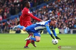 Klopp sangat senang Liverpool bisa gaet Alexis