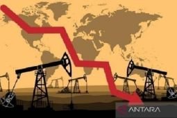 Harga minyak menguat di tengah dukungan berkelanjutan stok AS yang "bullish"