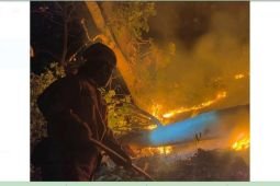 BPBD Trenggalek ajak warga siaga ancaman karhutla