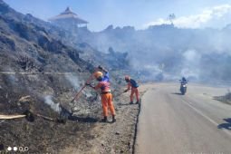 BPBD Bondowoso: Karhutla capai 20 hektare di lereng Gunung Ijen