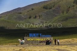 Kunjungan wisatawan ke Bromo belum pulih usai kebakaran