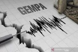 Gempa bumi magnitudo 5 guncang Jailolo, Malut
