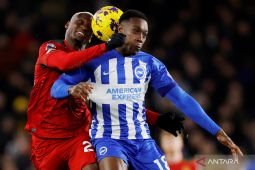 Liga Inggris: Wolves taklukkan Sheffield 1-0 untuk makin benamkan lawan