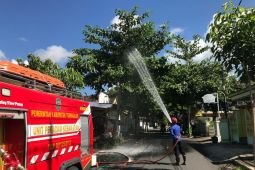 Damkar Trenggalek semprotkan desinfektan sarang ulat bulu