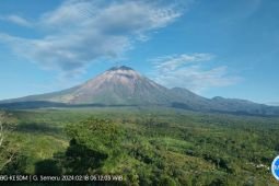BPBD: Erupsi Gunung Semeru setiap hari tidak berdampak pada aktivitas warga