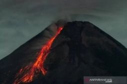 Merapi luncurkan lima kali guguran lava ke arah dua sungai