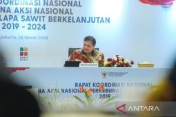 Menteri Airlangga sebut hilirisasi sawit RI tetap dilanjutkan