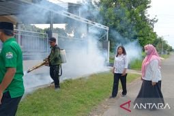 Dinkes Situbondo rutin lakukan pengasapan basmi nyamuk "Aedes aegypti"