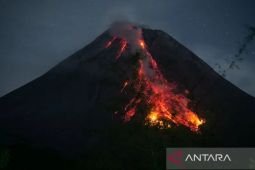 Merapi muntahkan enam kali guguran lava sejauh 1,5 kilometer