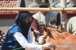 Pemkab Bangkalan dukung penguatan ekonomi peternakan